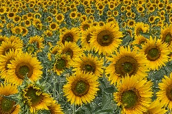 Schöne Sommerferien!