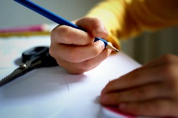 Zum Schulbeginn: Stundentafeln im Überblick